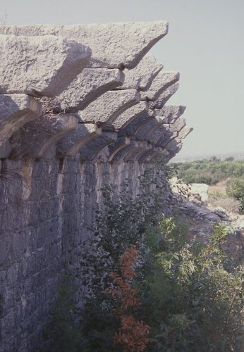 Akkale, palatial complex