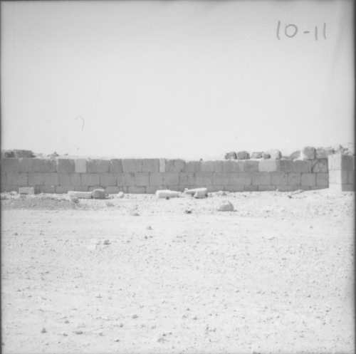 Palmyra walls Palmyra walls