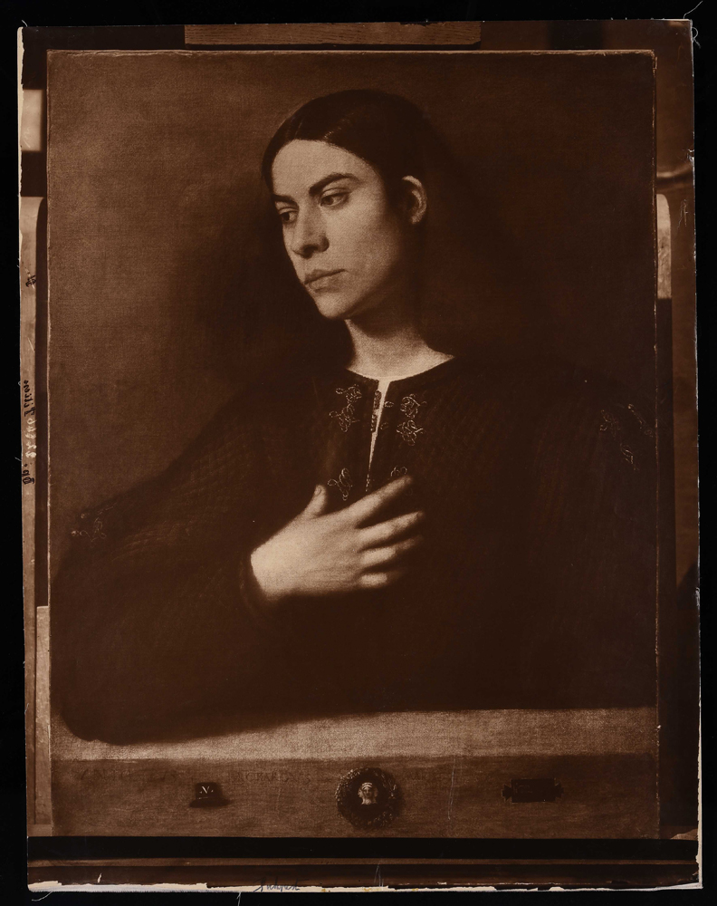 Barbarelli Giorgio (Giorgione), Ritratto di giovane