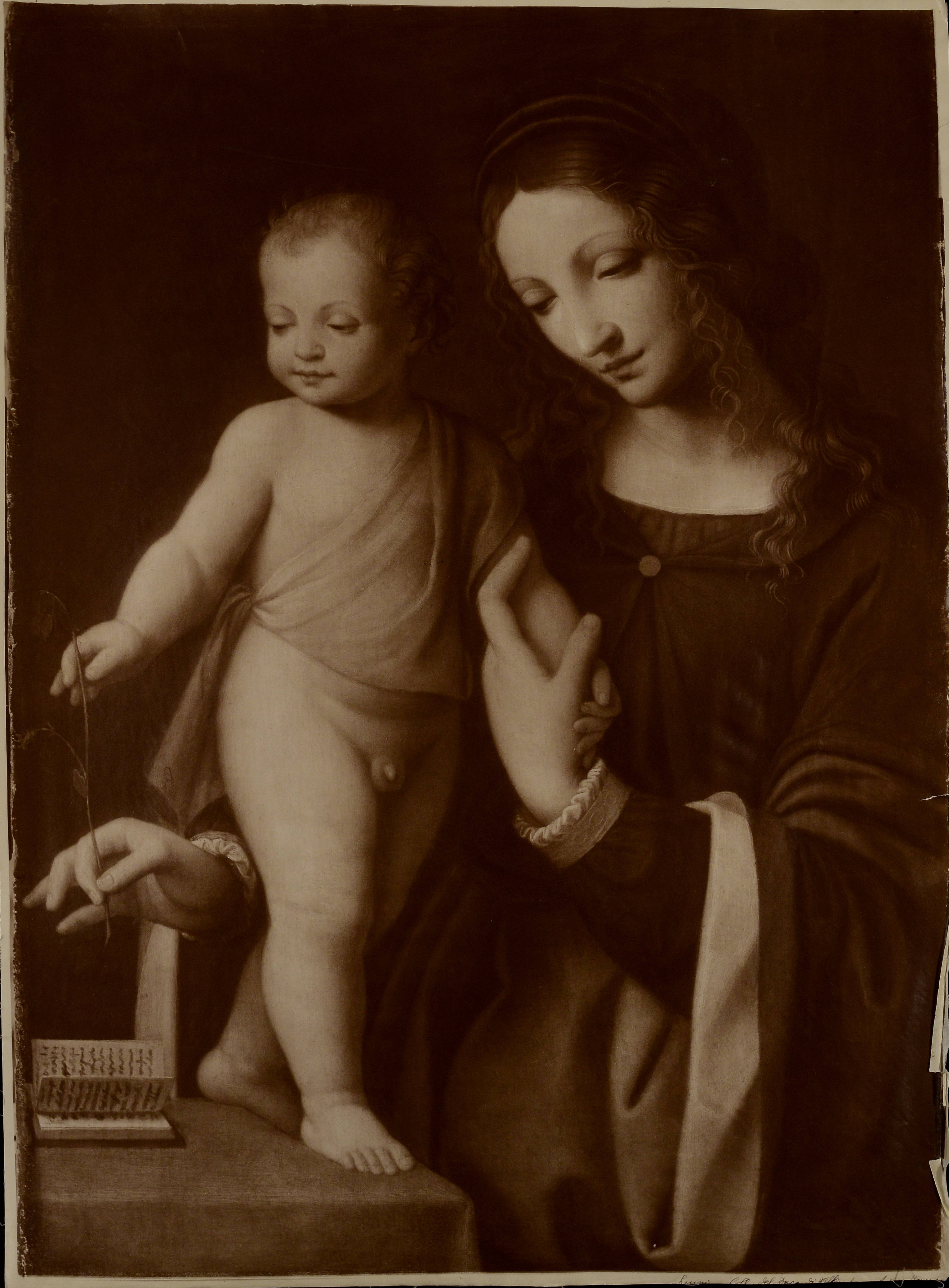 Luini Bernardino (bottega di), Madonna col Bambino
