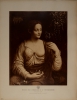 Luini Bernardo, Portrait d'une jeune dame, dite Le Colombine