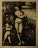 Beccafumi Domenico, Venere e Cupido