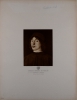 Antonello da Messina, Portrait de jeune homme